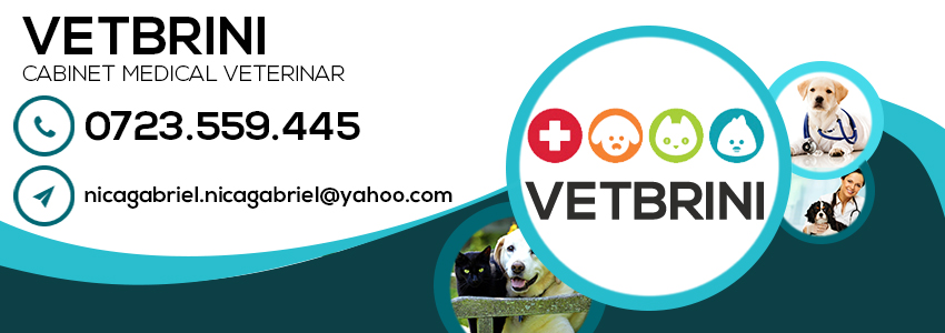 medic veterinar Braila medic veterinar Braila