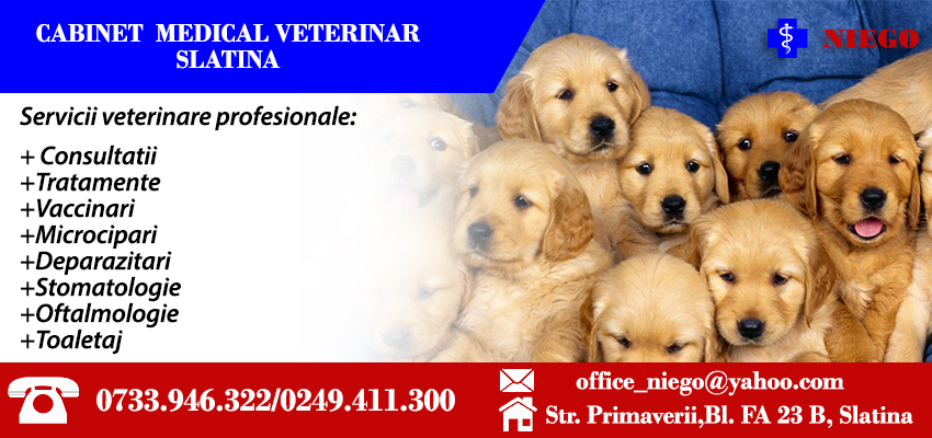 cabinet veterinar Slatina