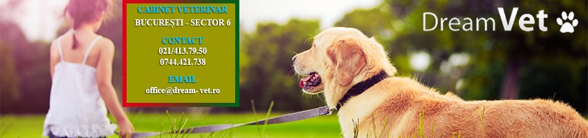 veterinar Bucuresti veterinar Bucuresti